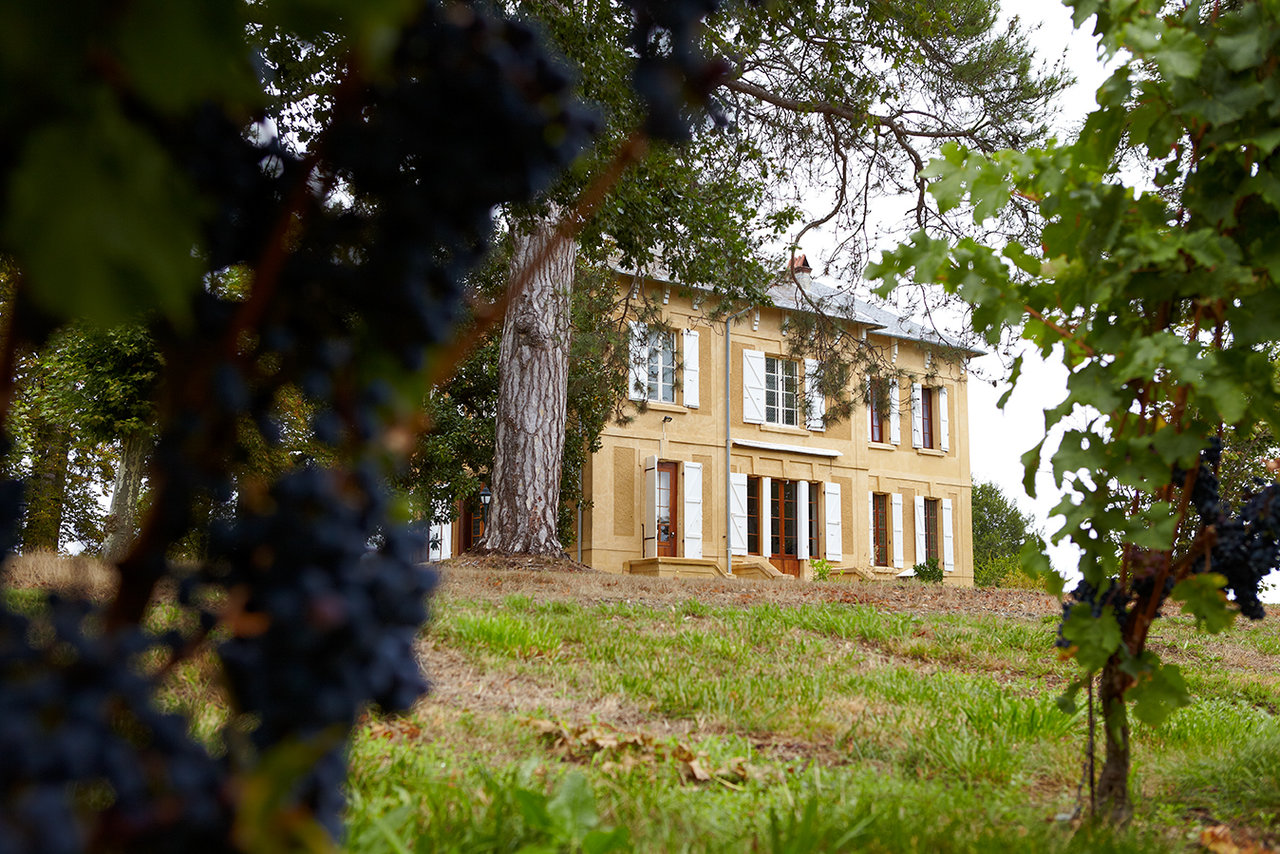 Château Laroche Brumont