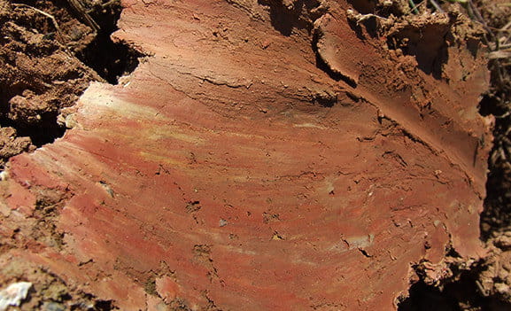 Brown Clay - Bouscassé Castle